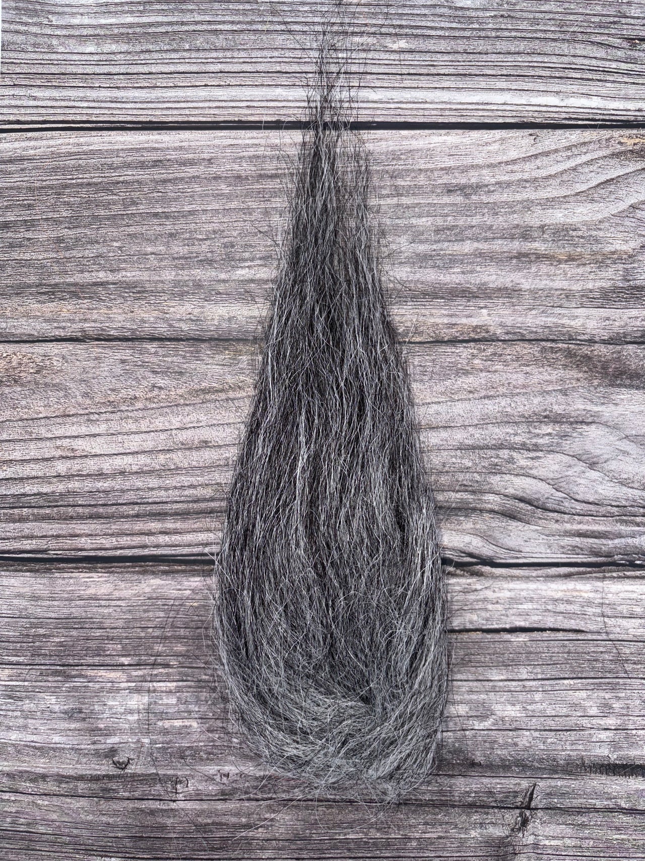Coal