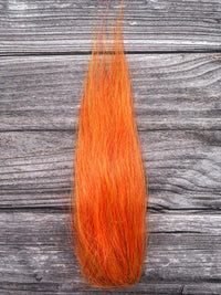 Thumbnail for Goldfish Orange