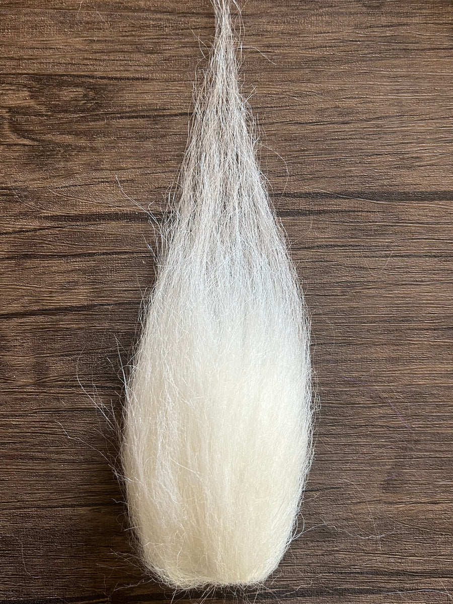 White Belly
