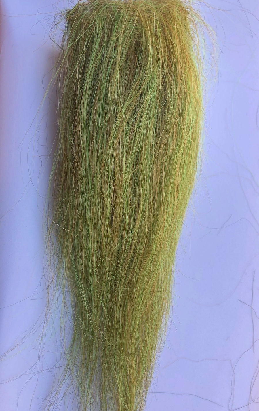 Moss