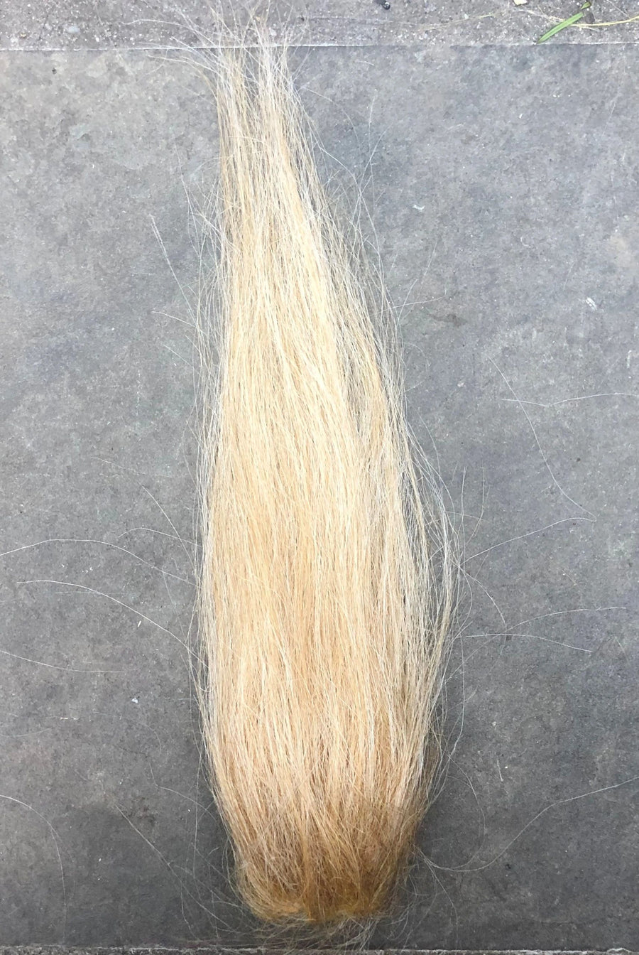 Old Ivory