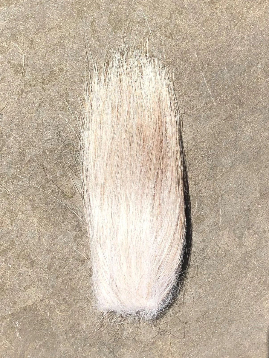 Oatmeal