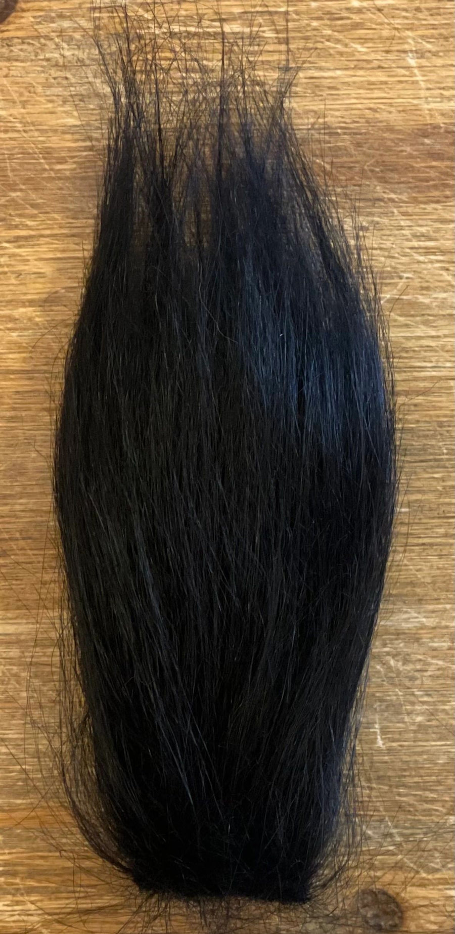 Black Polar Bear (Synthetic)