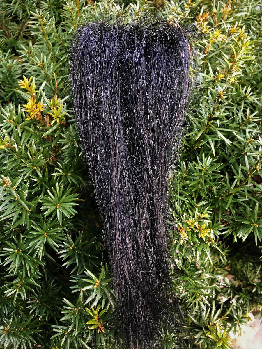Scintilla Nera