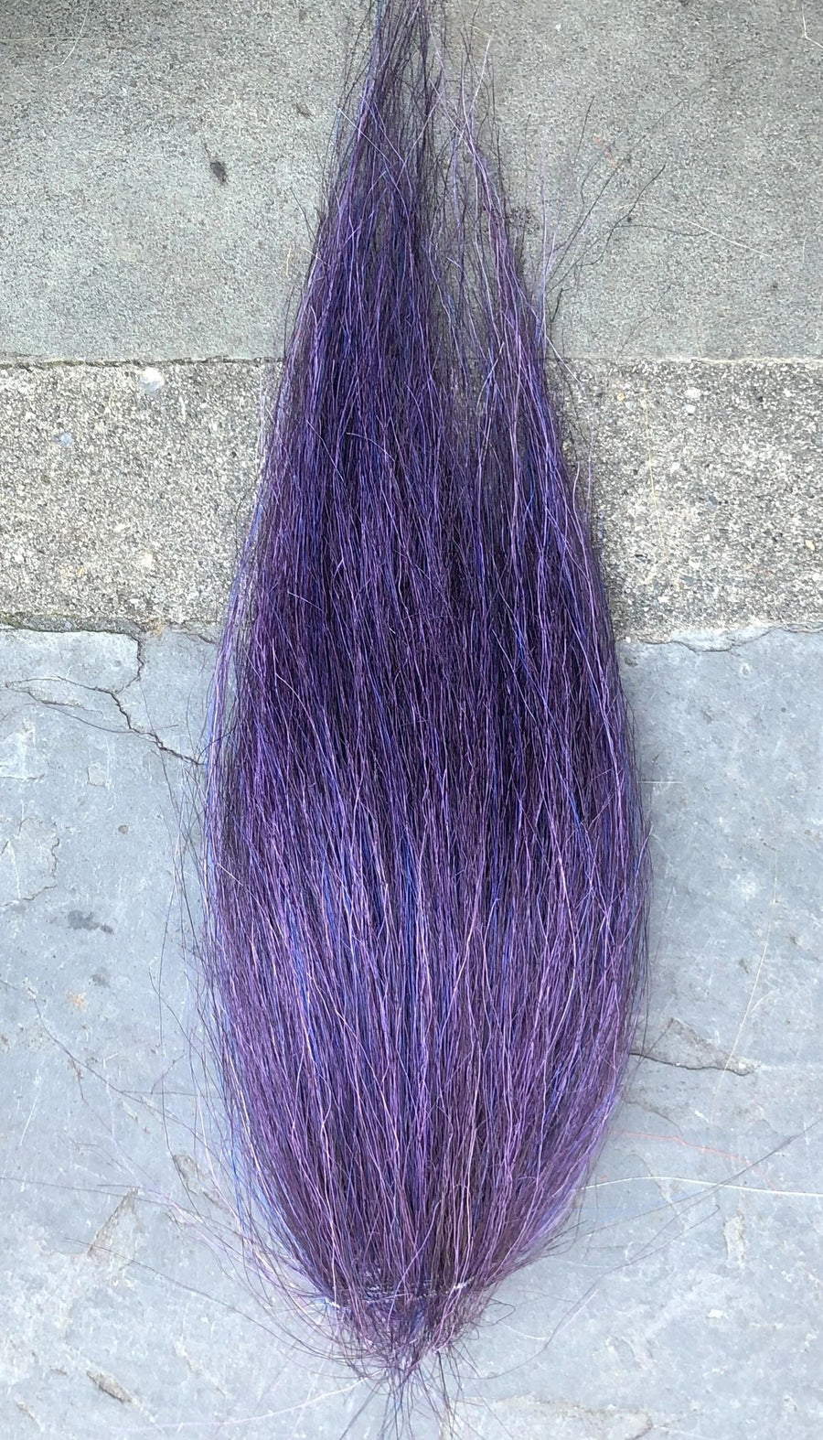 Foschia viola
