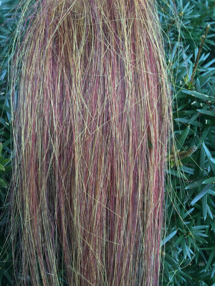 Cinnamon