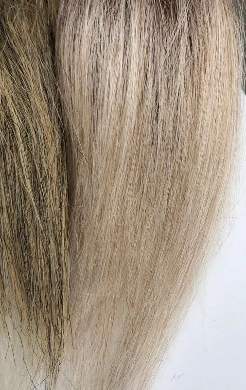 Pacchetto Pro Capelli Squimpish
