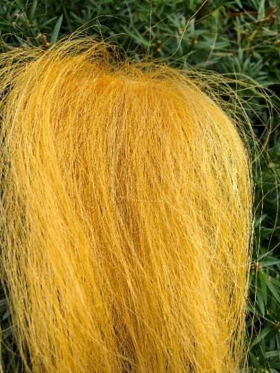 Straw Yellow