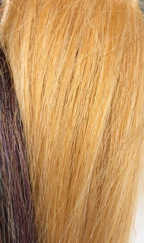 Pacchetto Pro Capelli Squimpish