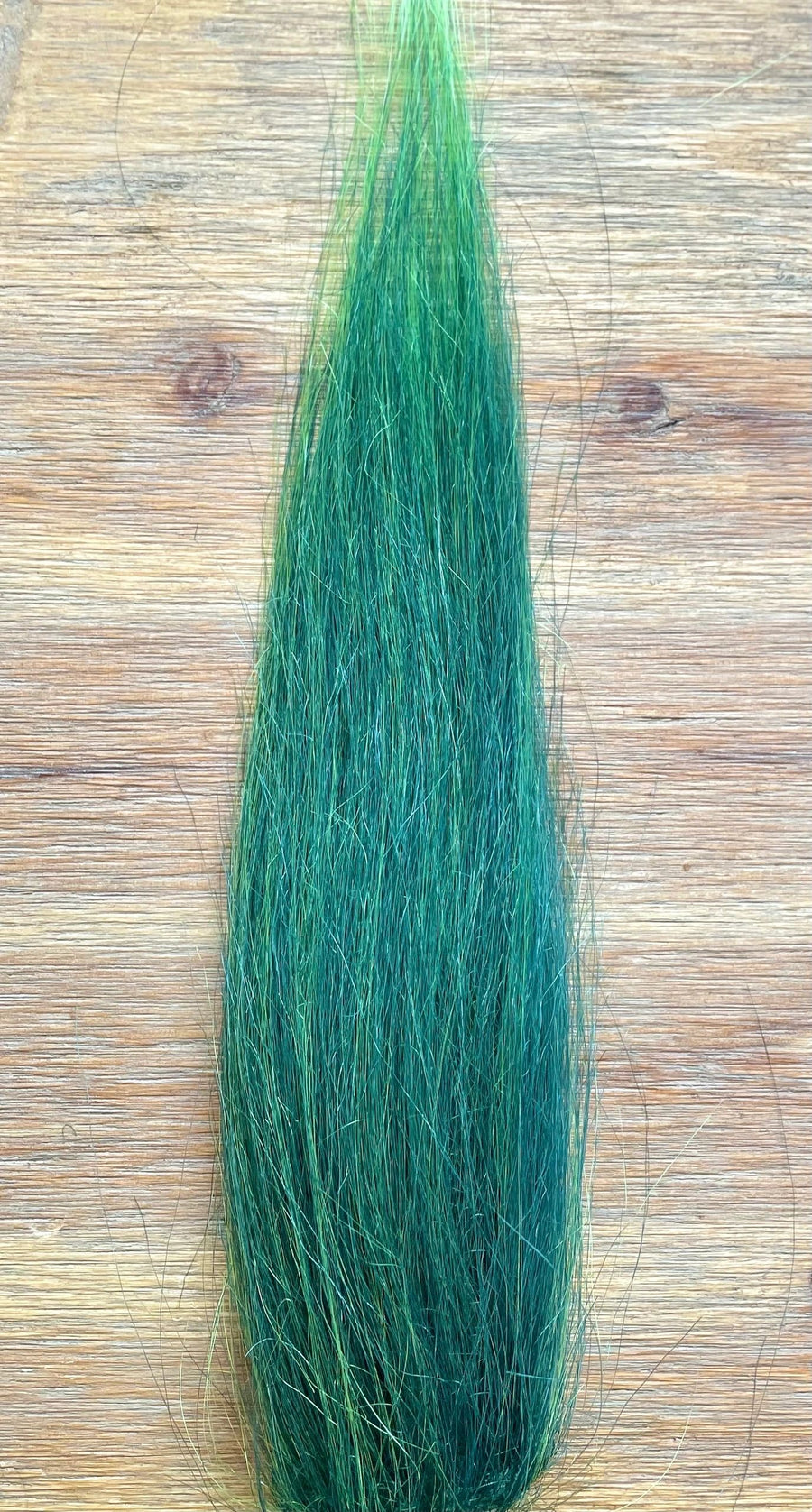 Shamrock