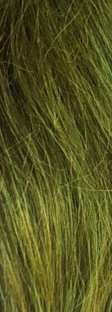 Moss