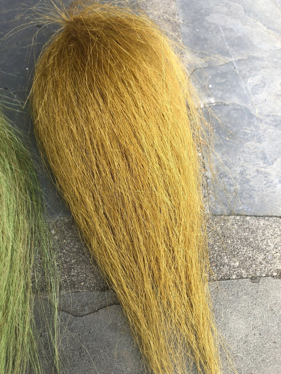 True Olive