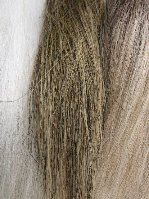 Pacchetto Pro Capelli Squimpish