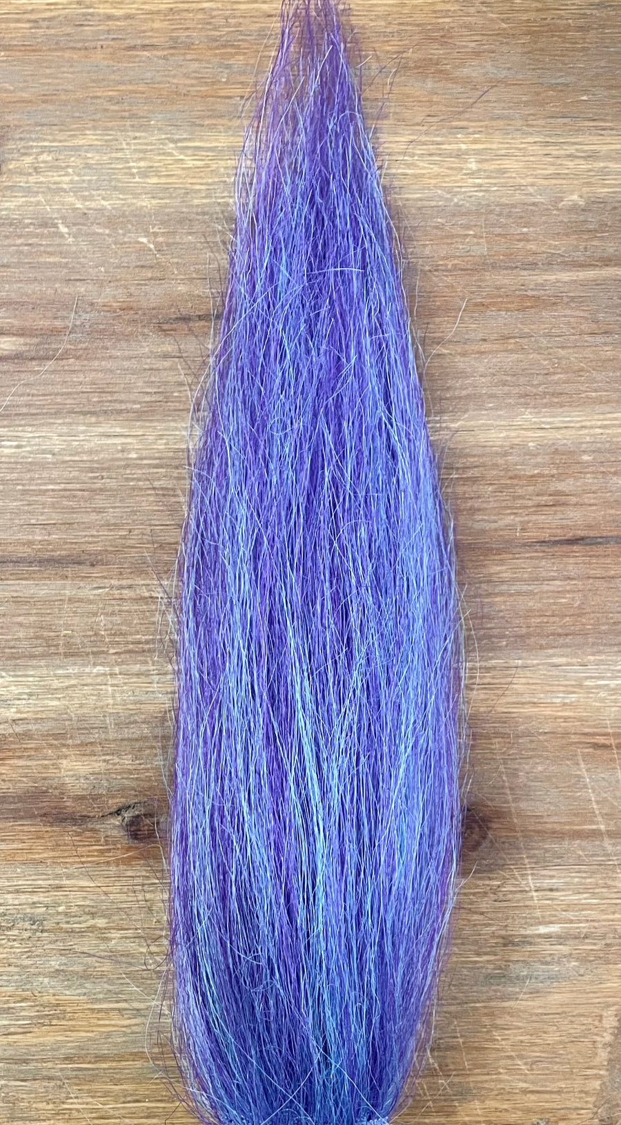 Purple Lotus