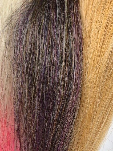 Pacchetto Pro Capelli Squimpish