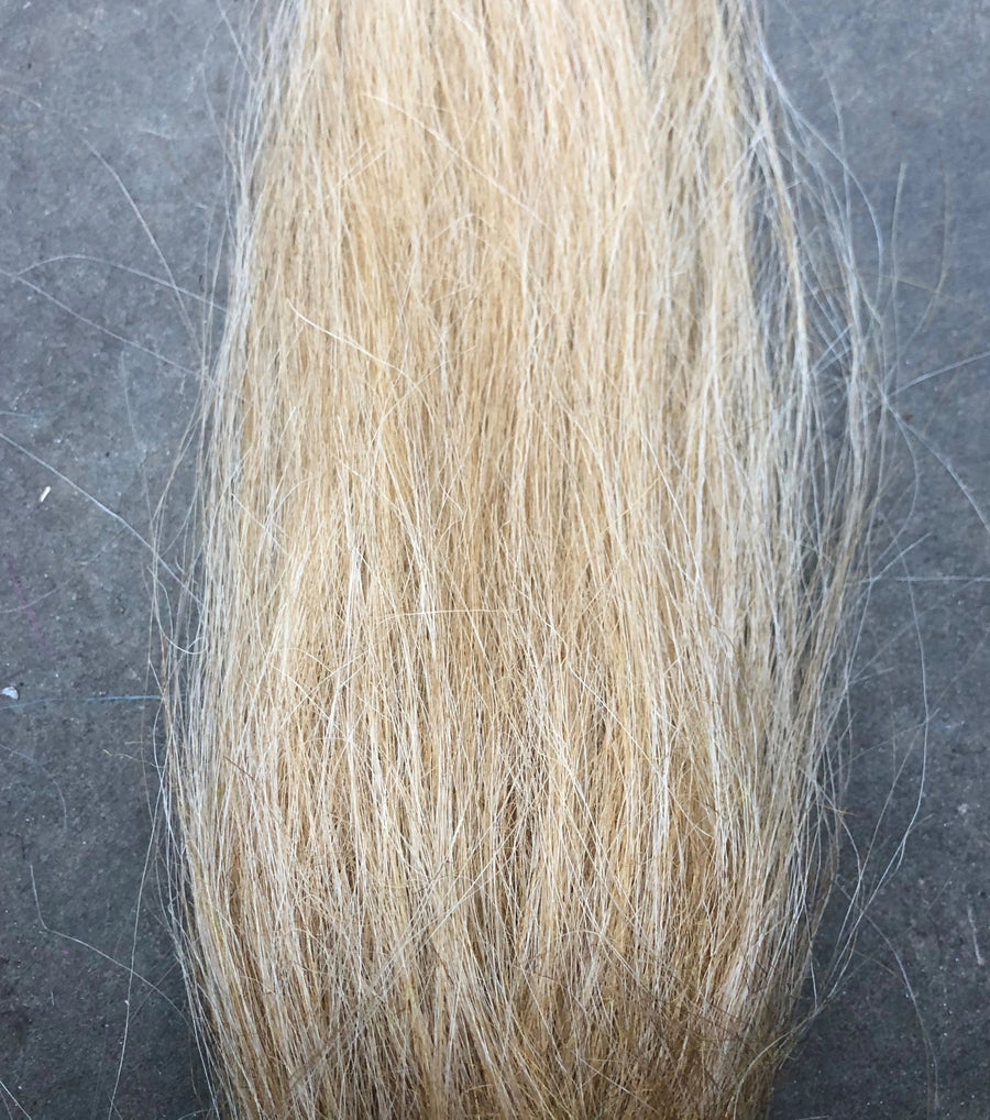 Old Ivory