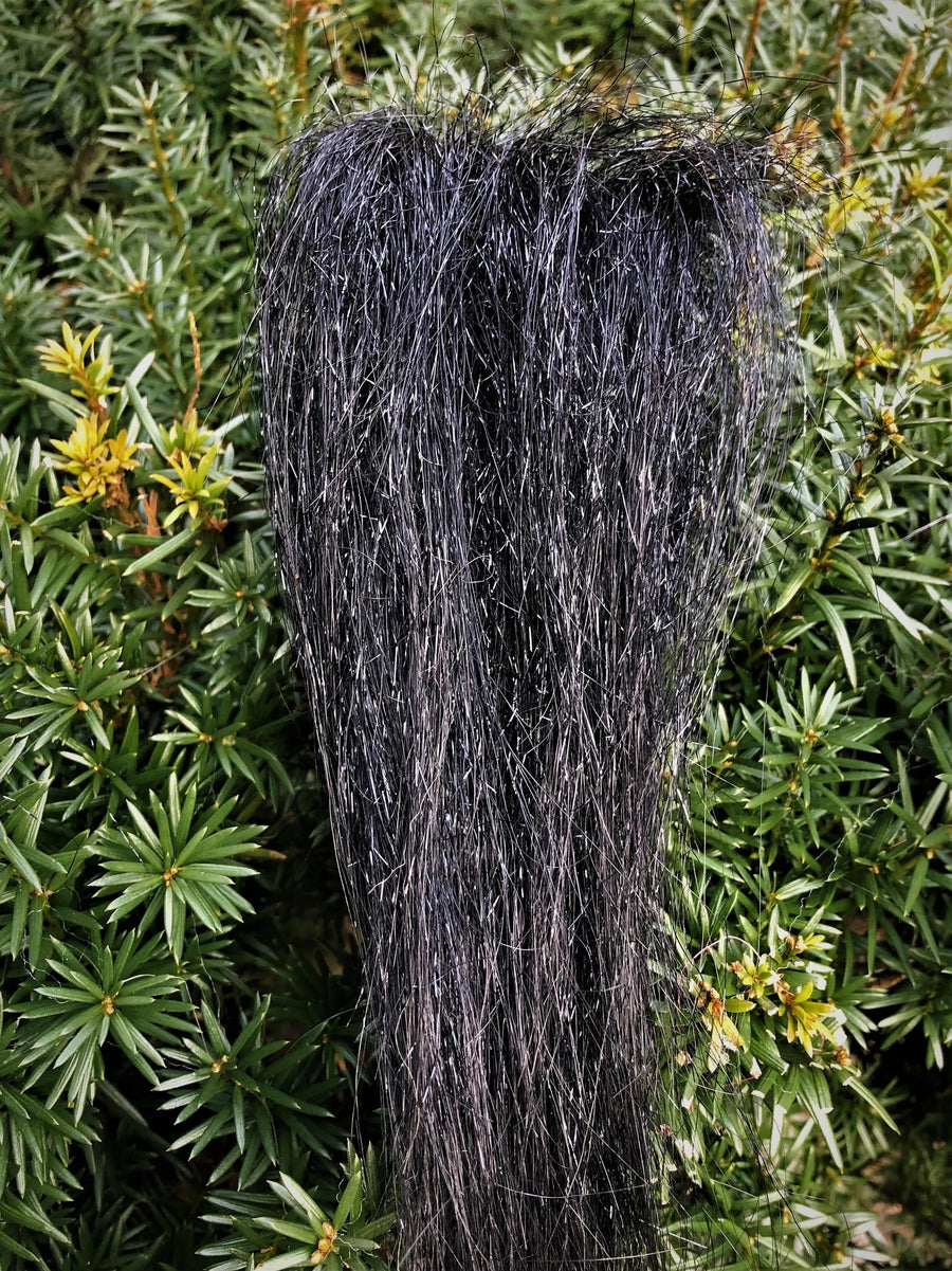 Scintilla Nera